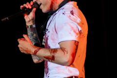 DSC08548