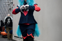 DSC_8048