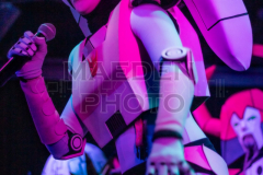 MG_9534