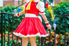 04-Flandre
