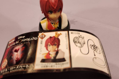 My mystery capsule contained Riddle Rosehearts